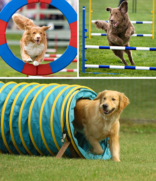 ��������. ��� ��� �����?