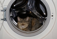 ������� ��������� ��� �����